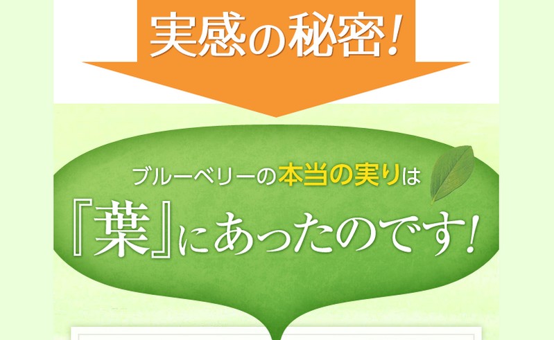 �y�u���[�x���[�͎����t�z���T�C�g